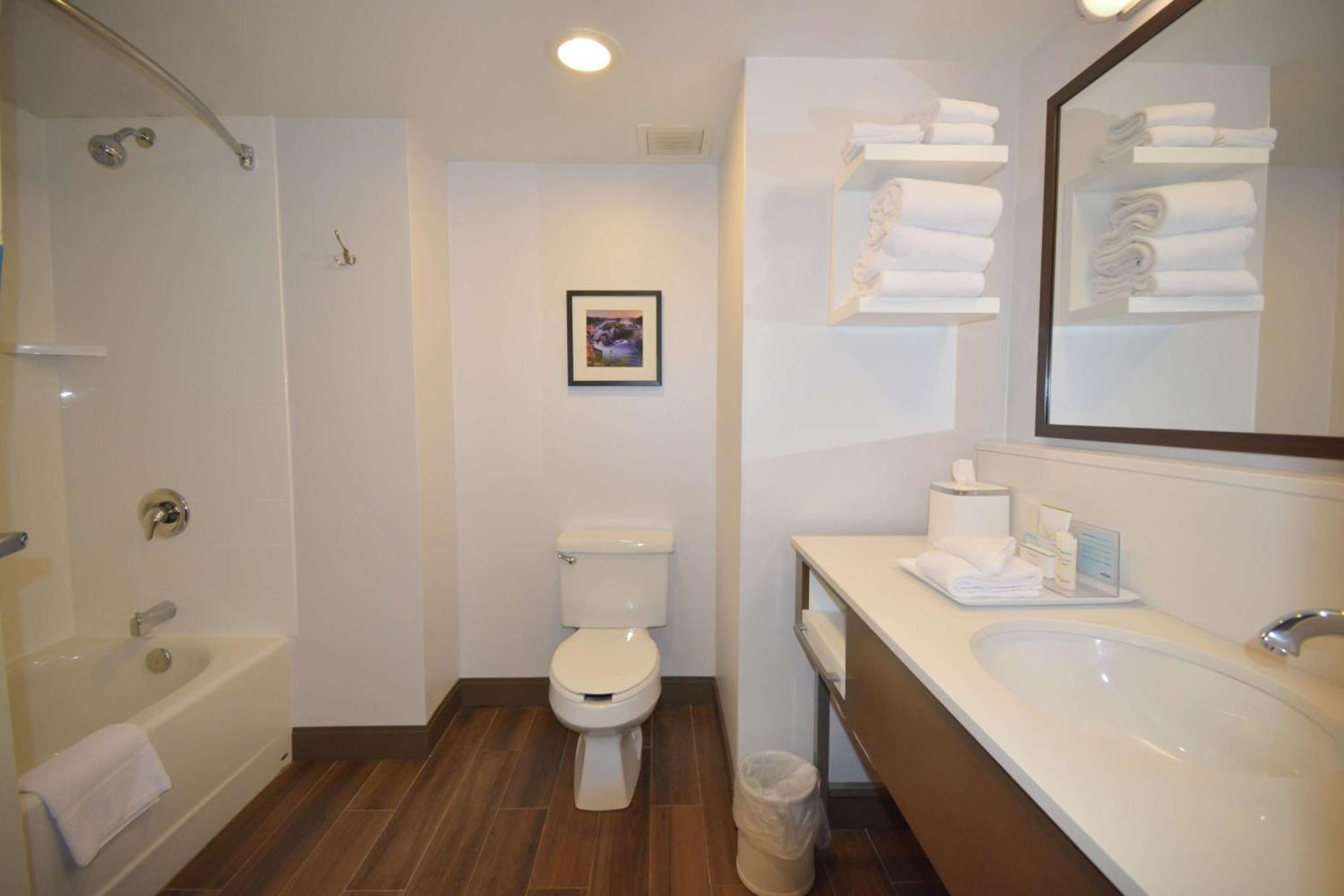 Hampton Inn Salem East - Electric Road Buitenkant foto