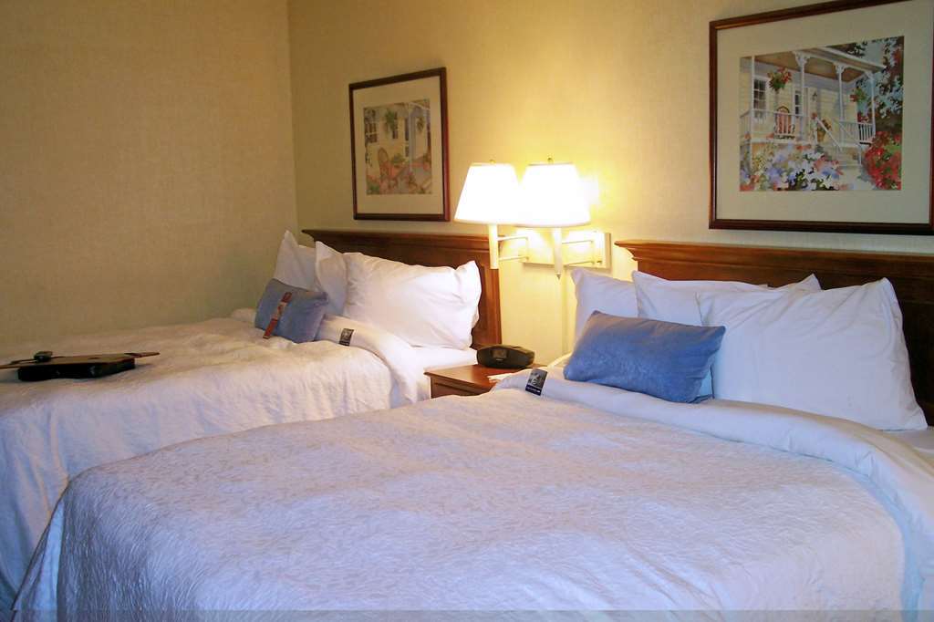 Hampton Inn Salem East - Electric Road Kamer foto